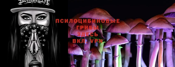гашик Армянск