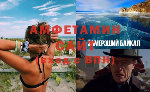 сатива Арсеньев