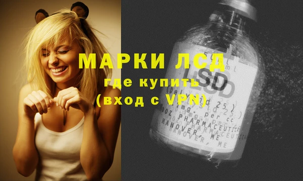 сатива Арсеньев